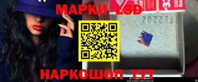 альфа пвп Новодвинск