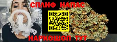 альфа пвп Новодвинск