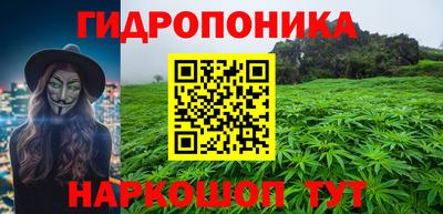 альфа пвп Новодвинск